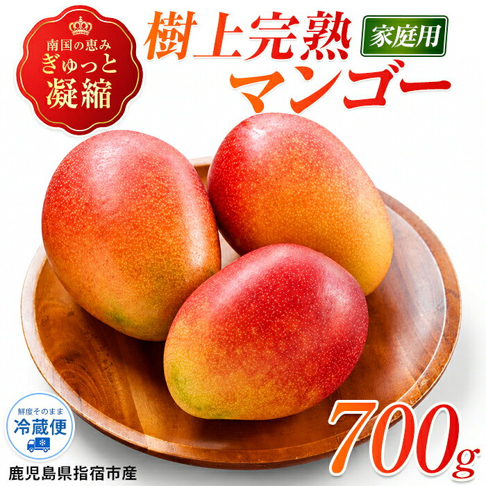 【ふるさと納税】ご家庭用 いぶすき産マンゴー(約700g・2〜3玉) フルーツ マンゴー 果物 旬 夏 指宿 いぶすき 鹿児島 完熟 南国フルーツ 果実 マンゴー 国産 鹿児島県産【トロピカルファーム山川】