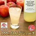 【ふるさと納税】栃木県矢板市産 樹上完熟100％りんごジュース 720ml×6本入｜林檎 リンゴ 果汁100% 産地直送 [0419]