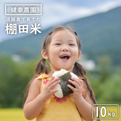 ふるさと納税 淡路市 健幸農園の棚田米 10kg　ak29019