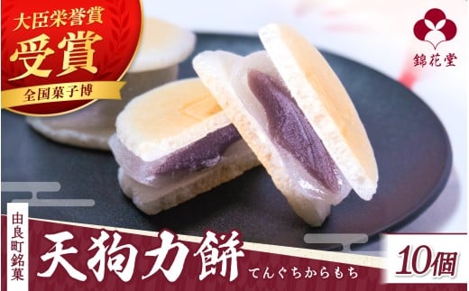老舗の味 天狗力餅10個入　和菓子　力もち　こし餡　職人の手作り / 銘菓 和菓子 こしあん 由良町 お取り寄せ お土産 ギフト 和歌山県【knkd005】