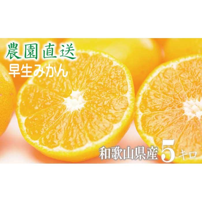 【ふるさと納税】早生みかん 約5kg 大小混合 《ご家庭用》 和歌山県産 農園直送 まごころ産直みかん 【北海道・沖縄県・一部離島 配送不可】ちょっと訳あり ミカン 蜜柑 温州みかん わけあり 訳アリ 和歌山みかん 下津みかん 和歌山ミカン ［Mg14］ | 特産品 果物