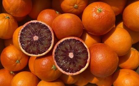熊本県産 ブラッドオレンジ 約5kg オレンジ 果物 みかん 蜜柑 柑橘 【2026年2月下旬発送開始】