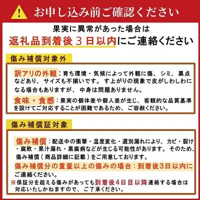 【先行予約】訳あり 愛媛みかん 3kg  傷み補償 250g 清家ばんかんビレッジ
