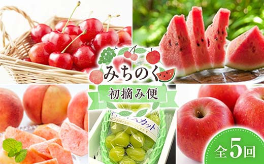 【令和8年度発送】みちのく 初摘み便 FSY-2361