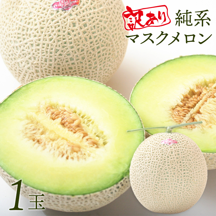 E-1889z 【訳あり】純系マスクメロン１玉【８～９月発送分】