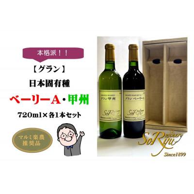 ふるさと納税 甲州市 本格派【グラン】日本固有種 ベーリーA・甲州 各1本セット