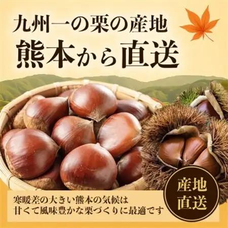 【先行予約】 熊本県産 旬の生栗 スイーツ作りにも! 大粒栗 2L以上 約3kg (益城町)【配送不可地域：離島】【1687211】