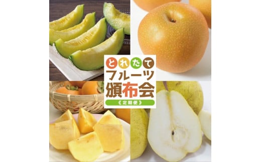 ≪4回定期便≫ とれたて！フルーツ頒布会2026 6月下旬～8月上旬 アンデスメロン 青肉 約3kg 8月下旬～9月下旬 和梨 約3kg 10月中旬～11月中旬 庄内柿 種なし柿 約3kg 11月上旬～12月上旬 ラ・フランス 約3kg 山形県酒田産 2026年 小林青果店　SF0319