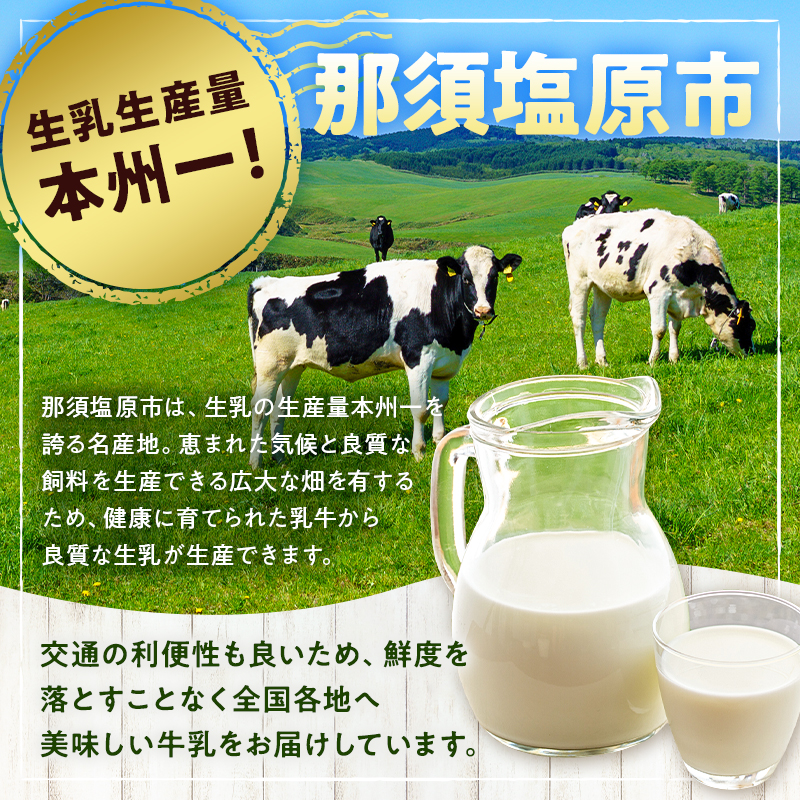 パスチャライズド牛乳「那須塩原」200ml×6本セット ns026-002