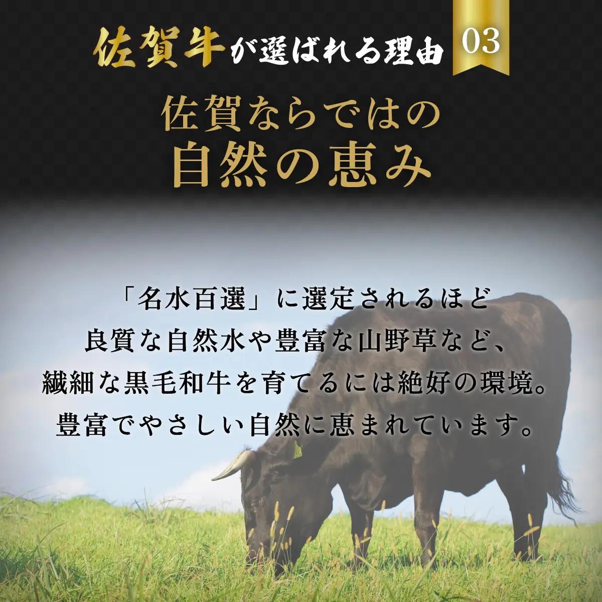 佐賀牛色々食べ比べ