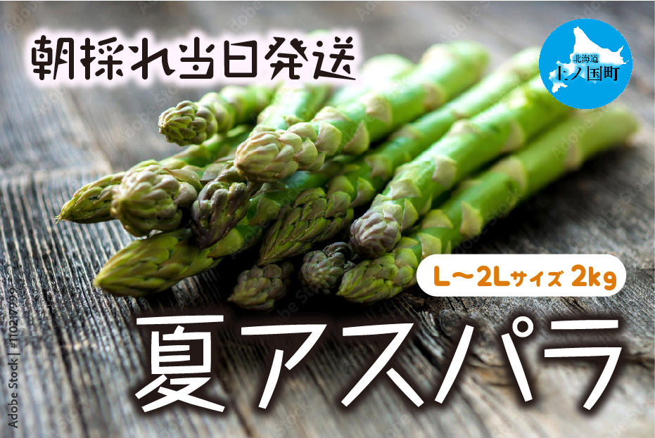 【2025年夏発送】北海道上ノ国町 わかさ農園の夏アスパラ　L～2L（2㎏）