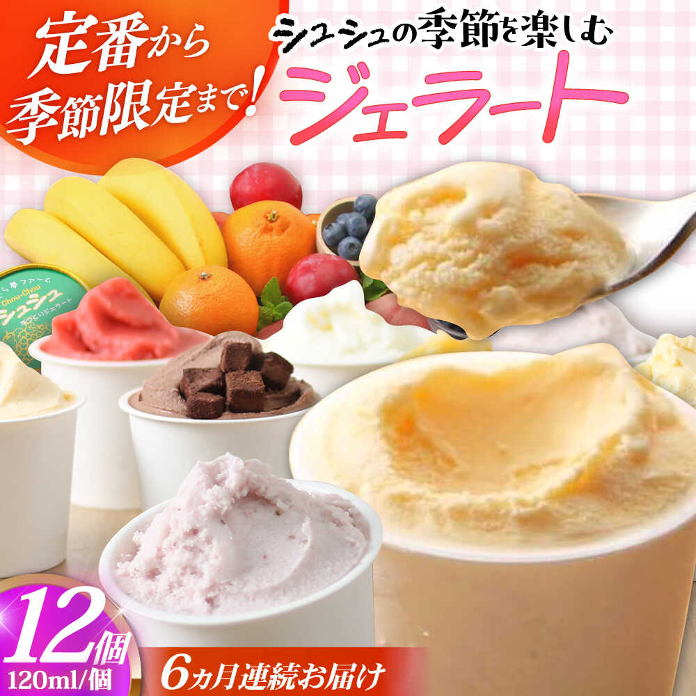 【ふるさと納税】【6回定期便】シュシュ 季節のジェラート12個セット / アイス アイスクリーム ジェラート スイーツ / 大村市 / おおむら夢ファームシュシュ[ACAA429]