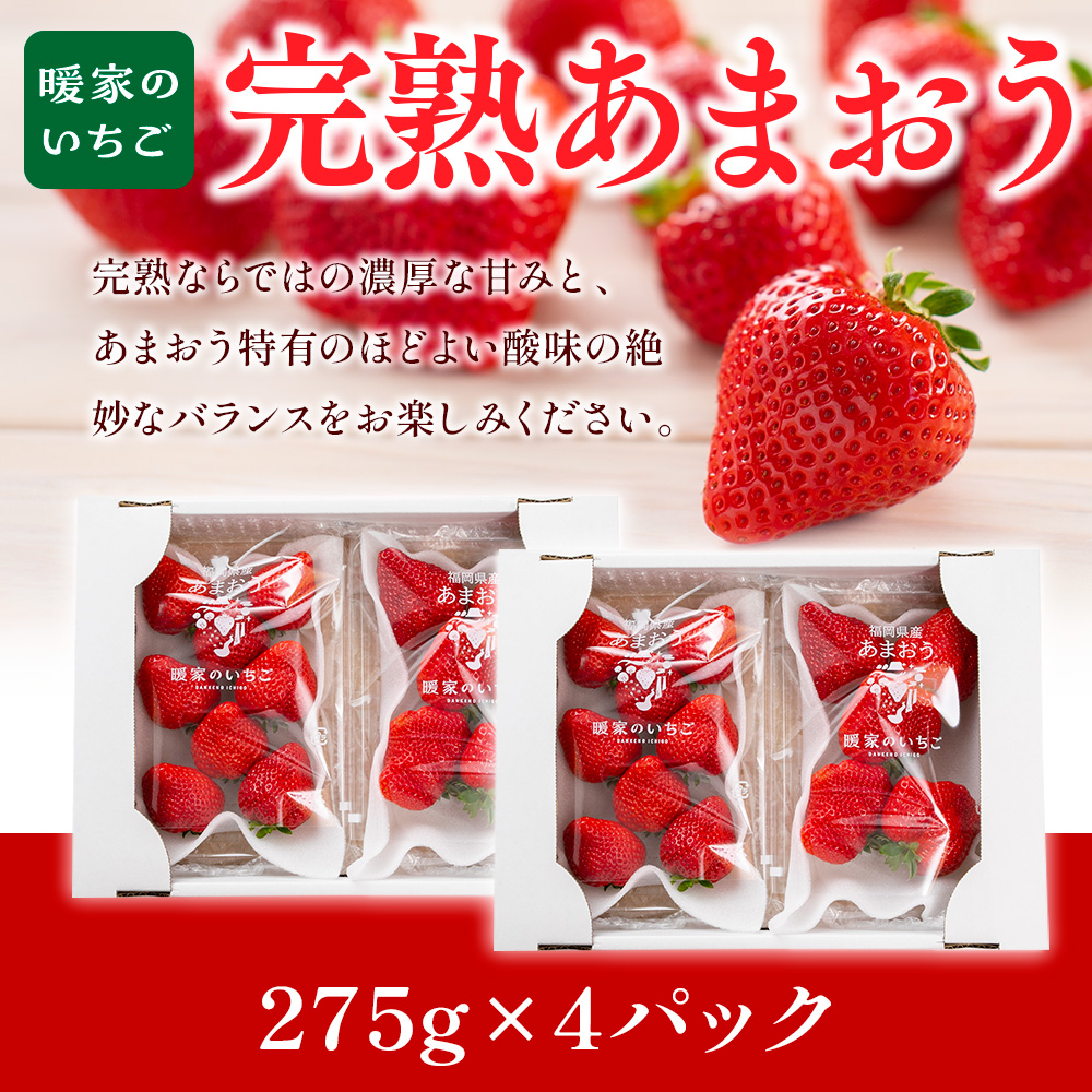 暖家のいちご 完熟あまおう 275g×4パック　AB003