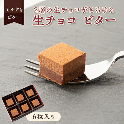【ふるさと納税】2層の生チョコがとろける「生チョコ ビター」【配送不可地域：離島】【1511446】