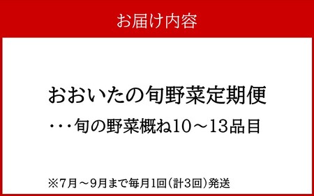 2395R_7月からお届け!おおいたの旬野菜定期便/計3回発送
