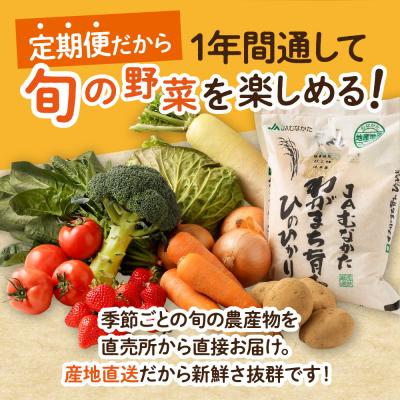 ふるさと納税 宗像市 【定期便/年12回/毎月お届け】むなかた旬のお任せセット【ほたるの里】_HB0029 |  | 01