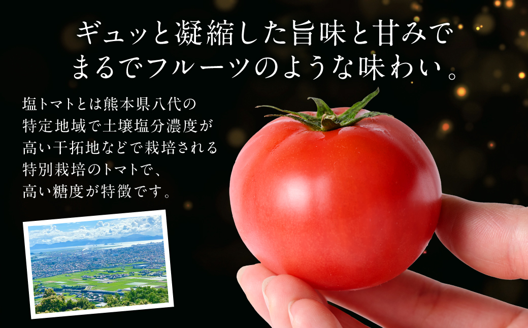 【先行予約】 Red i ～紅～ 1kg トマト とまと 野菜 やさい 旬の野菜 新鮮な野菜 地元産野菜 ご当地 国産 特産品 お取り寄せ 家庭用 食卓 【2026年1月中旬より順次発送】