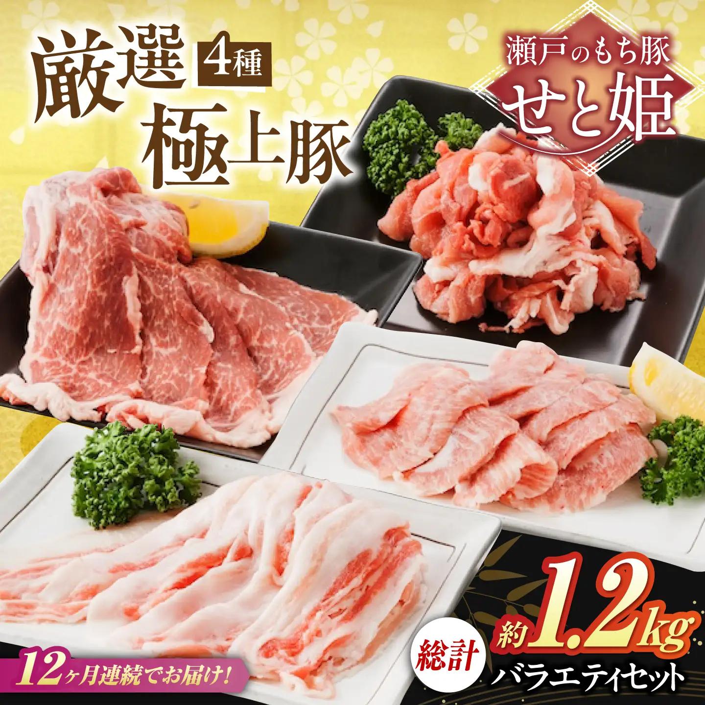 【全12回定期便】バラエティセット約1，200g (肩ロース・バラ・小間切れ・豚トロ 各300g)  [BAER081]豚肉