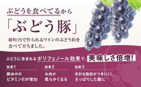 綾ぶどう豚やわらか味噌 食べつくし3種セットB（36-212）