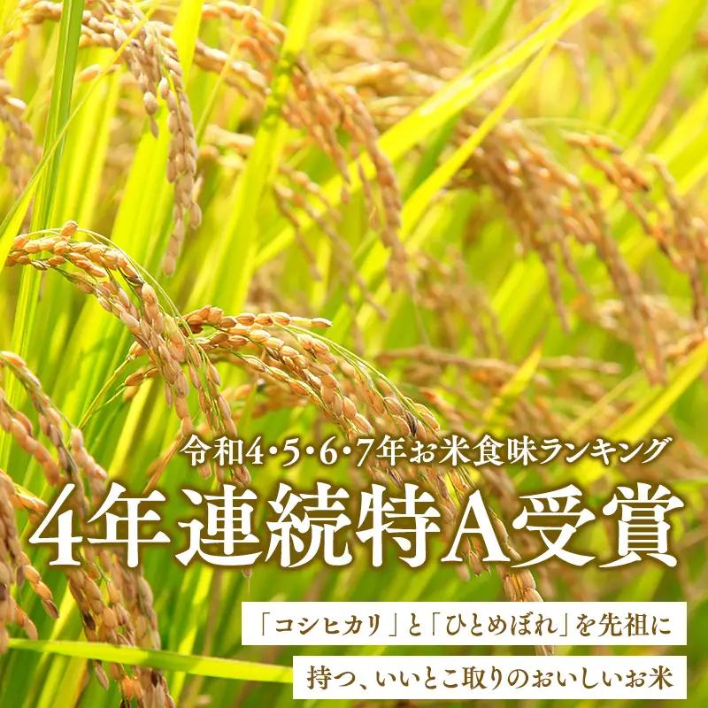 米 ≪令和8年産 先行予約≫特別栽培米 はれわたり玄米10kg