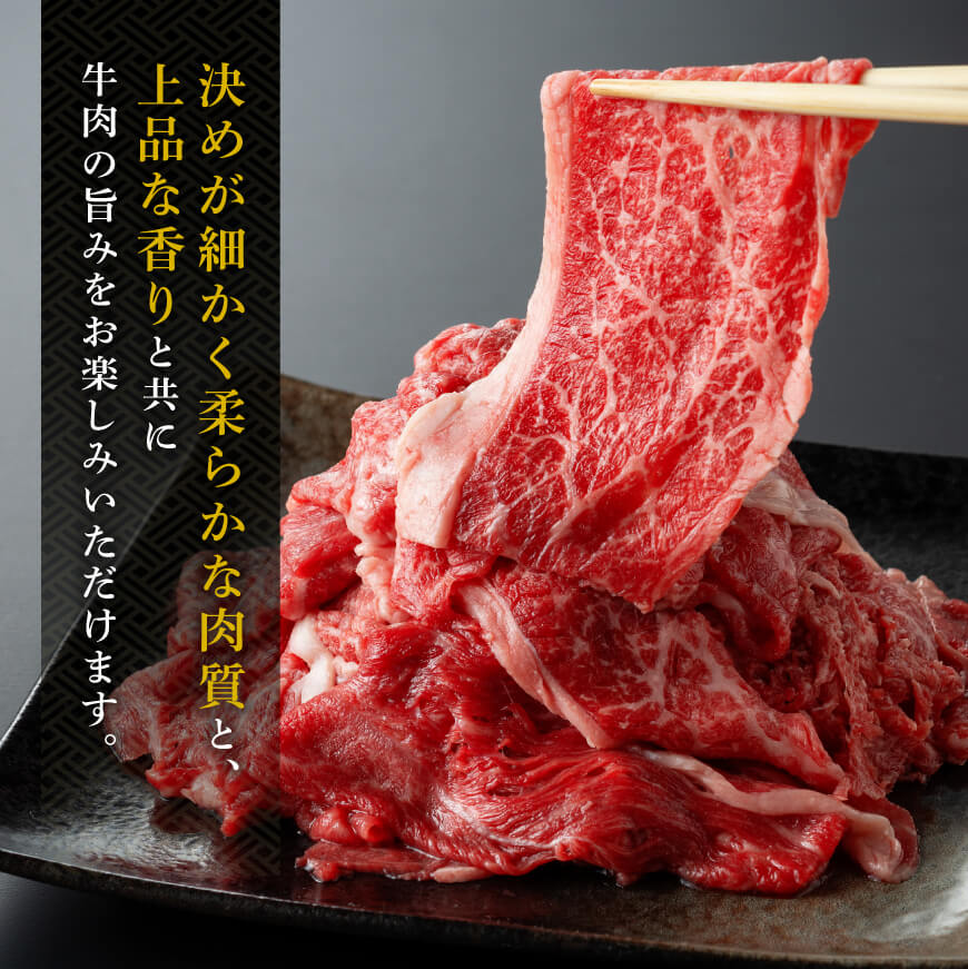 宮崎県産 黒毛和牛 切り落とし 600g【 肉 牛肉 肉 宮崎牛 炒め物 2パック 日本ハム 】