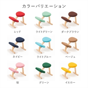 バランスイージー専用プレミアムニットカバーnew（グリーン）はっ水加工【 バランスイージー カバー 大阪府 門真市 】