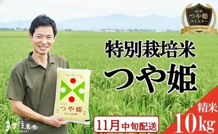 SC0730　11月中旬配送／令和8年産【精米】つや姫マイスターが作った 特別栽培米『つや姫』10kg(5kg×2袋)［減農薬・減化学肥料］ MA