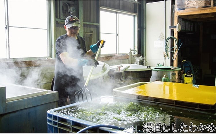 瀬戸内で採れた島磯香る わかめ 22g×4袋と ひじき 28g×5袋 セット【岡山 瀬戸内海 鉄釜炊 天然】
