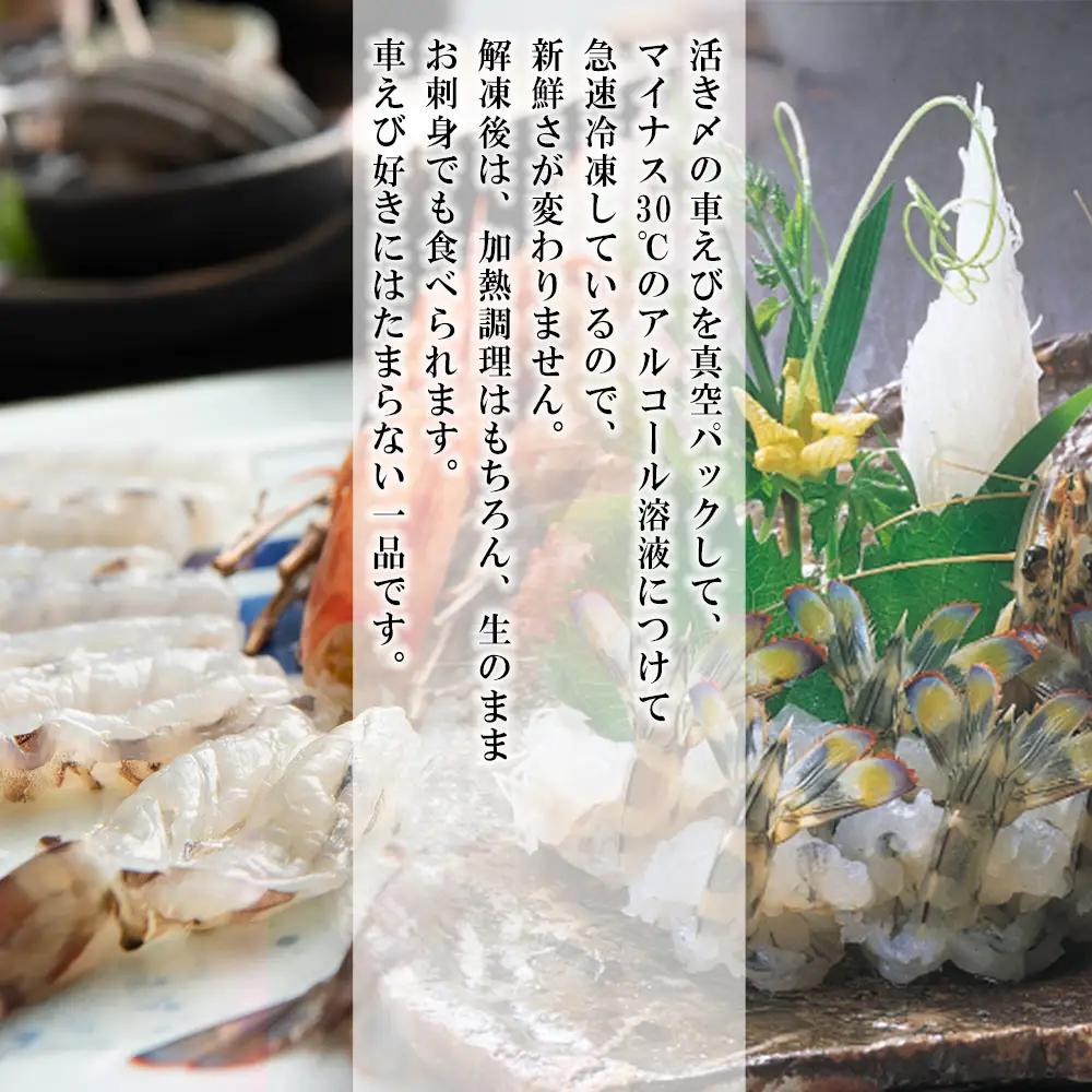 「姫島村産」凍眠凍結生食用車えびとえびフライ(各8パック) A28