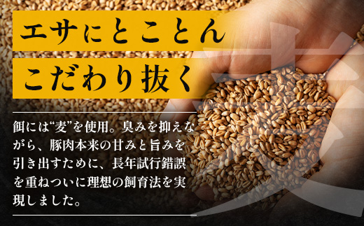 鹿児島県産 ひかり麦豚 モモかつ 計1.6kg （200g×8パック）衣つき トレーなし 冷凍 HM-8 | 肉 お肉 にく 豚肉 モモ肉 トンカツ 解凍して揚げるだけ 真空冷凍 新鮮 小分け 産地直