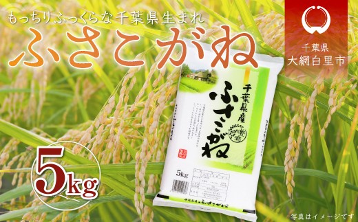 新米 令和8年産 千葉県産「ふさこがね」5kg（5kg×1袋） 【お米 5kg 千葉県産 大網白里市 ふさこがね 米 精米 こめ 送料無料】 A061