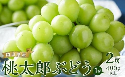 ぶどう 2025年 先行予約 桃太郎 ぶどう 2房（1房480g以上）｜フルーツ 果物 くだもの 食品 人気 特産 特産品 おすすめ 送料無料 ぶどう 2025年 先行予約 桃太郎 ぶどう 2房 ブドウ 葡萄 岡山県産 国産 フルーツ 果物 ギフト 贈り物 果物類 いろは堂