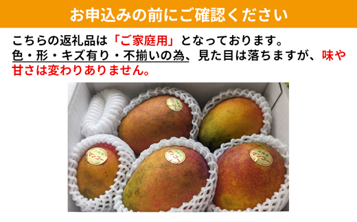 【2025年発送】MKファームの訳ありアップルマンゴー約1kg【訳あり】- 訳アリ 沖縄県産 産地直送 南国フルーツ 旬の味覚 アップルマンゴー オススメ 沖縄県 八重瀬町