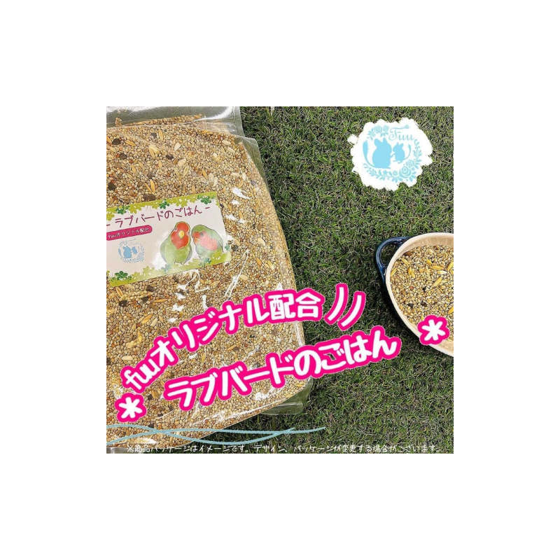 【3ヶ月定期便】fuu ラブバードのごはん（800g）［145S63-T］【3ヶ月定期便】fuu ラブバードのごはん インコ 小鳥 エサ ペット用品 複数種 シード オリジナル配合 800g 