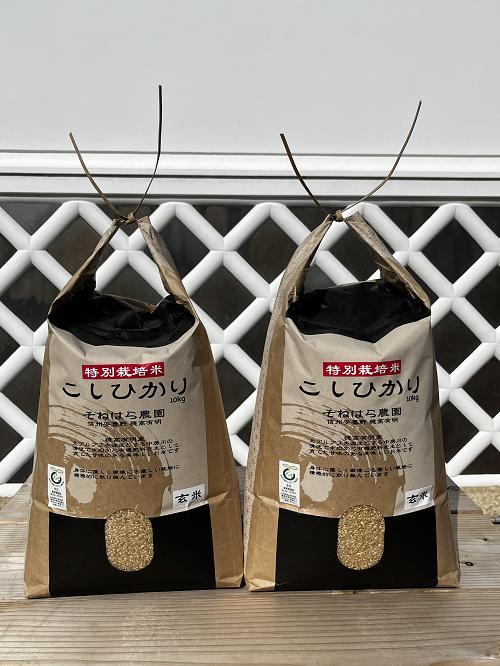 そねはら農園　【穂高有明産】特別栽培米こしひかり「玄米20kg」