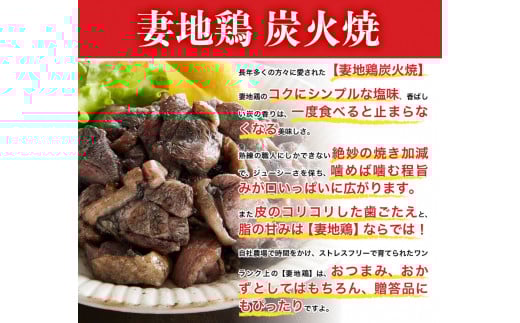 「妻地鶏」炭火焼詰合せ30（100ｇ×5個）＜1-139＞鶏肉 おつまみ 惣菜 加工品 炭火焼 地鶏 宮崎県西都市 入金確認後30日前後で発送