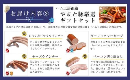 田村市ギフトセット 「竹」 ビール 日本酒 ハム ベーコン 福島県 田村市