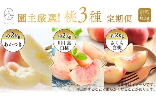 
                  No.2674園主厳選！もも3種定期便　各約2kg【2026年発送 先行予約】
                