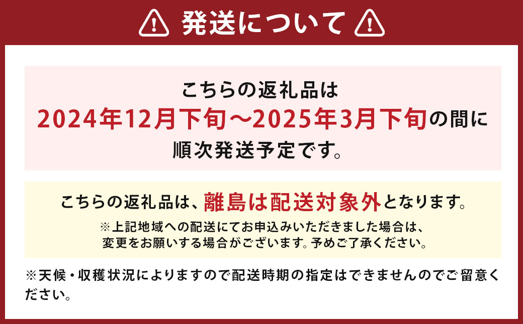 いちご「かおり野」プレミアム 300g×2パック 約600g