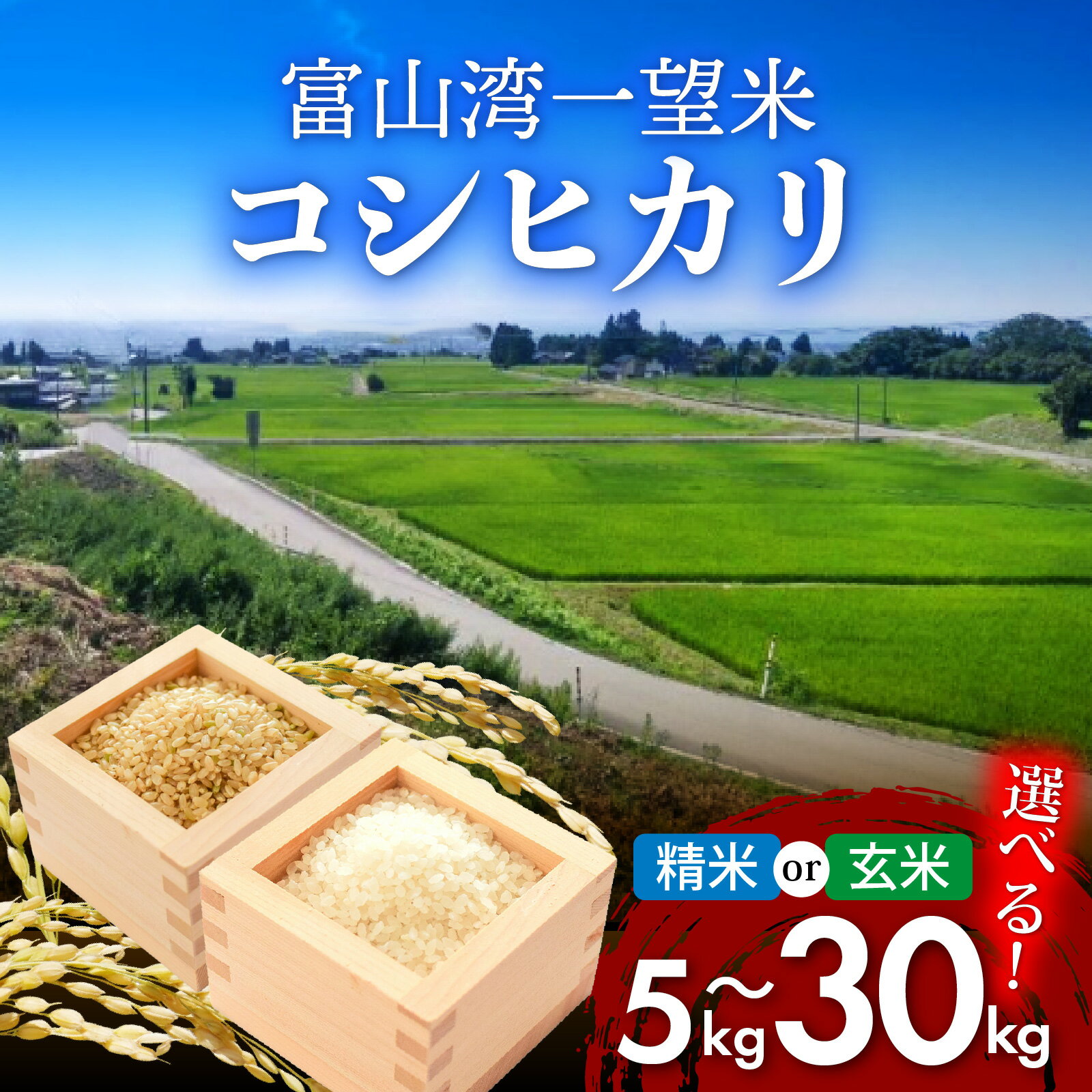 【ふるさと納税】【先行予約】新米 富山湾一望米 コシヒカリ【選べる玄米・精米】【選べる容量5kg～30kg】【2025年10月より順次発送】農家直送 米 定期便 選べる 玄米/精米 10kg 富山県滑川産 産地直送 袋 ブランド米 お米 白米 こしひかり 5kg 10kg 15kg 30kg おこめ 富山