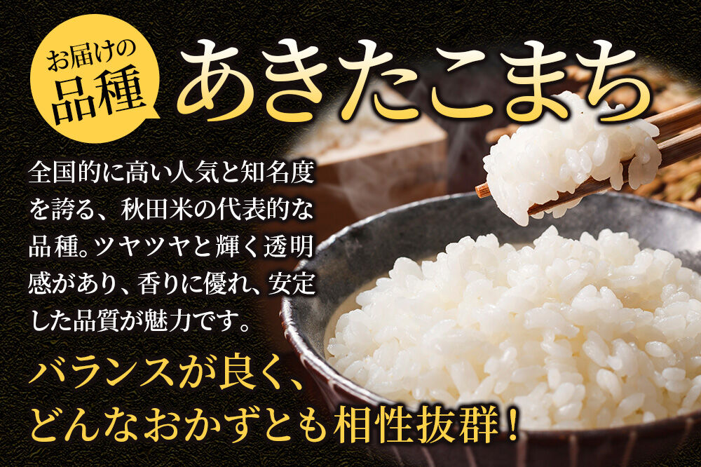 《定期便6ヶ月》米【白米】秋田県大仙市産 あきたこまち 精米 10kg（5kg×2袋）令和7年産