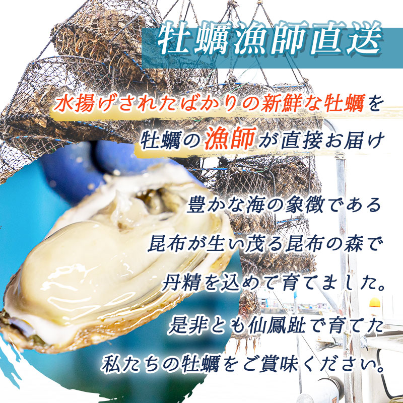北海道 仙鳳趾名産 牡蠣 200g～249g×10コ＋かきナイフ付き 漁師直送K4-5 【センポウシ : 釧路町の東 厚岸湾の西 カキの名産地】 仙鳳趾 北海道 釧路町 釧路超 特産品_イメージ3