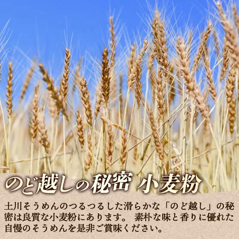 岩手名物 土川そうめん 1kg（200g×5袋）素麺 乾麺 小分け 常温保存 家庭用 岩手県岩手町