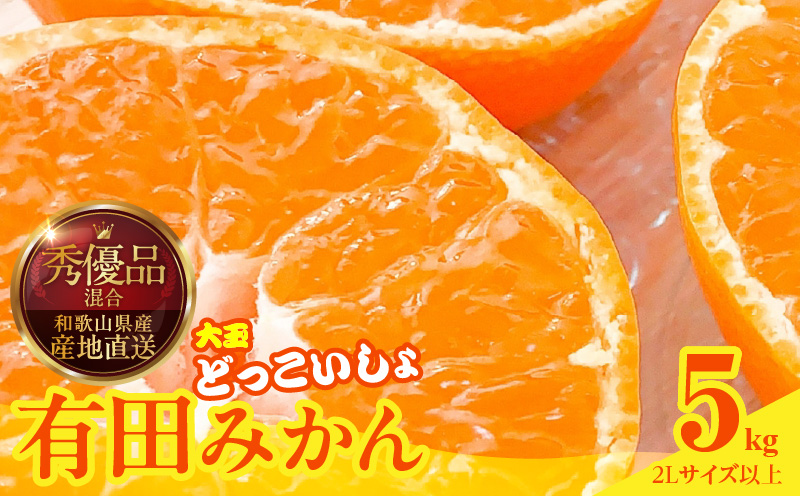 MK1033_【2025年先行予約】みかん 大玉 どっこいしょ 箱込 5kg ( 内容量 4.4kg ) 2Lサイズ以上 秀品 優品 混合 有田みかん 和歌山県産 産地直送 【みかんの会】