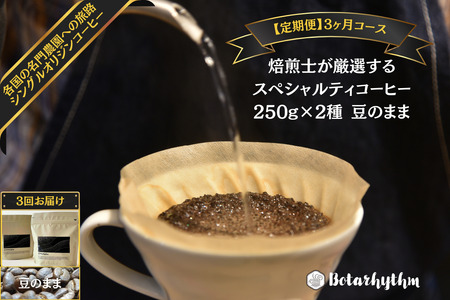 【定期便】スペシャルティコーヒー豆 焙煎士セレクト 250g×2種【豆】 3ヶ月 mi0043-0003 珈琲 ｾｯﾄ 豆 浅煎り 深煎り