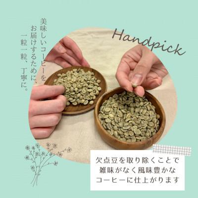ふるさと納税 宮城県 【自家焙煎】香り豊かなドリップバッグコーヒー　5袋セット(5種×1袋) | 