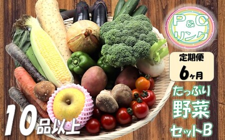 【6ヶ月定期便】 たっぷり 野菜セット B　10品 以上 　M0072（P&Cリンク） 旬の野菜