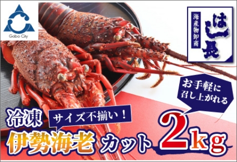 【0560-4】冷凍伊勢海老カット（サイズ不揃い）約2kg
