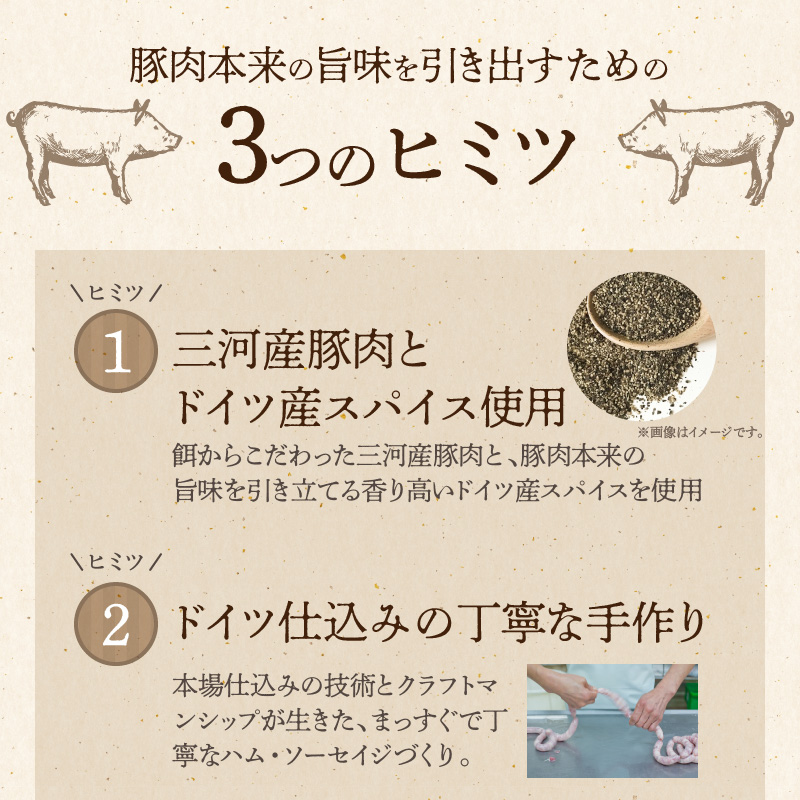 【国際品評会で金賞受賞！】ポークジャーキー 75g×3袋　国産豚肉100％ 三河産豚肉 IFFA金賞 シュヴァインハイム 晩酌 おつまみ お酒のお供 肉 加工肉 おすすめ H003-035