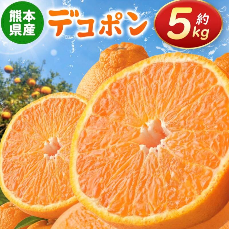 【ふるさと納税】光センサー使用！ 熊本県産 デコポン 約 5kg | 果物 くだもの フルーツ 柑橘 柑橘類 でこぽん 不知火 みかん 旬 味覚 熊本県 玉名市 送料無料 産地直送